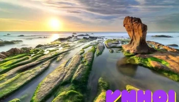 Bãi Biển Cổ Thạch - Bình Thuận