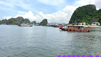 Bãi biển Ngọc Vừng - Ngọc Vừng