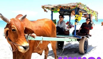 Bãi Tắm Cam Bình - Bình Thuận
