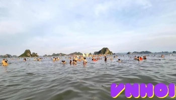 Bãi tắm Wonder Island Phương Đông - Bãi Tắm