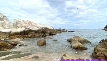 Bãi Đá Nhảy Tân Thành - Bình Thuận