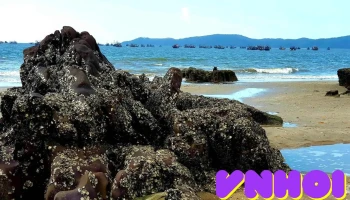 Bãi Đá Đen - Mũi Ngọc - Trà Cổ - Quảng Ninh - Bình Ngọc