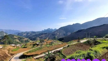 Bông Nấm - Cao Bằng