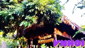 Bảo tàng Không gian Văn hóa Mường - Hòa Bình