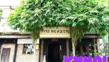 Bảo tàng Y học Cổ truyền Việt Nam - Phường 12