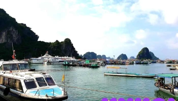 Bến Cái Rồng - Tt. Cái Rồng