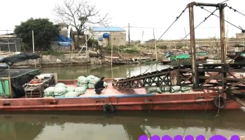 Bến Cảng Hải Đường - Giao Lạc - Nam Định