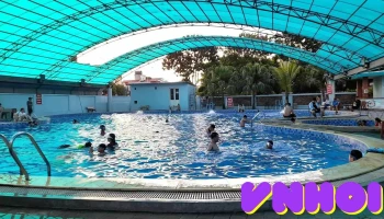 Bể bơi lavender Ninh Bình - Ninh Bình