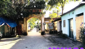 Bệnh Viện Đa Khoa Nông Cống - Minh Thọ