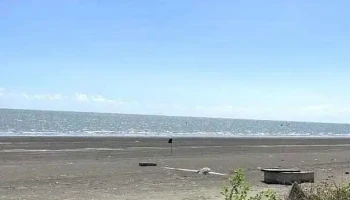 Camping Eco Beach Cần Giờ - Hồ Chí Minh