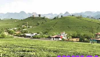 Cao Nguyên Mộc Châu - Mộc Châu