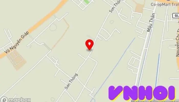 Cây Dầu cổ thụ Trà Vinh - Phường 7