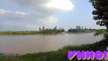 Cây đa La Tiến - Hưng Yên