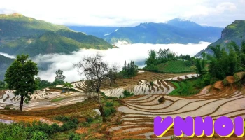 Choản Thèn - Y Tý