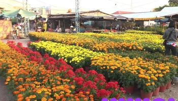 Chợ Hòa Tân - Hoà Tân