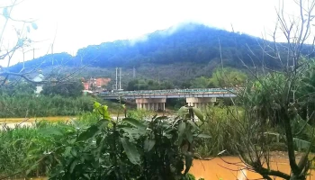 Chợ Lạc Nghiệp - D'Ran