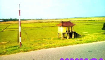 Chợ Vàng - Tam Dương