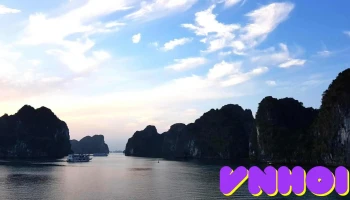 Chợ Địa Chất - Cẩm Trung