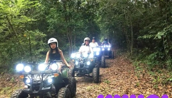 Cicada Ho Tram - Bà Rịa - Vũng Tàu