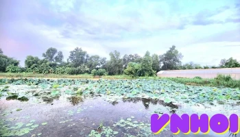 Colibris Farmstay Hau Giang - Hậu Giang