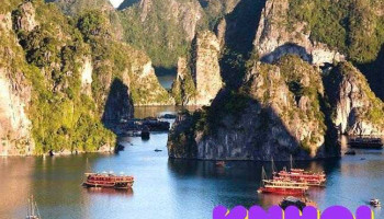 Công Ty Du Lịch Vịnh Hạ Long - Bãi Cháy