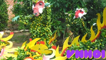 Công ty Tnhh Tham Quan Du Lịch Bến Tre - Bến Tre