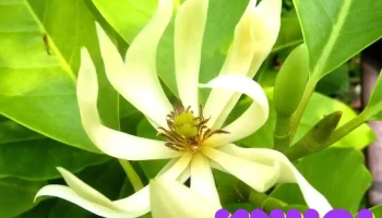 Công viên Hòa Bình - Hà Nội