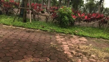 Công Viên Đồng Van - Đồng Văn