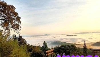 Cu Đơ Thư Viện Hà Tĩnh - Đại Nài