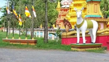 Cầu Tiểu Cần - Tt. Tiểu Cần