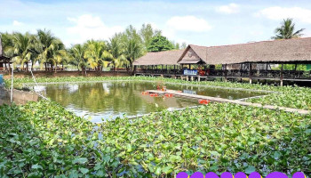 Cồn Phụng Tourist Khu vui chơi và du lịch Bến Tre - Bến Tre