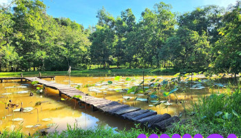 Da Teh Farm - Quảng Trị