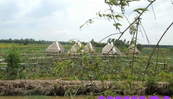 Di tích lịch sử và khảo cổ Gò Tháp - Tân Kiều