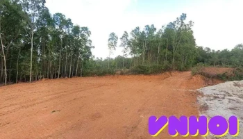 Di tích Lịch sử Địa Đạo Gò Quánh - Hoài Thanh