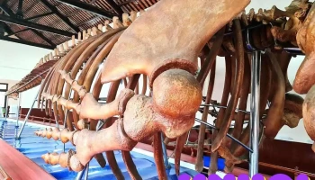 Dinh Vạn Thủy Tú - Bình Thuận