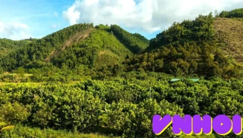 Du lịch Khánh Sơn - Khánh Hòa