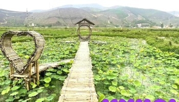 Du lịch sinh thái Hoành Bồ- nhà vườn Kim Ổi - Sơn Dương