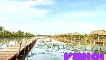 Du Lịch Sinh Thái Tiên Sen Đồng Tháp - Đồng Tháp