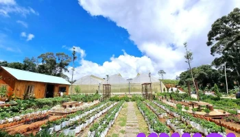 Farmers Garden - Kon Plông
