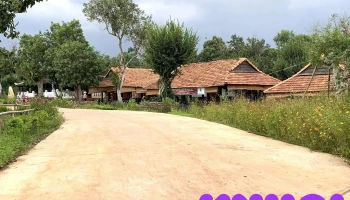 Green Farm - Láng Lon