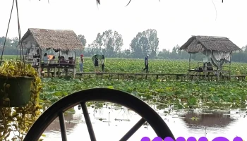 Gò Minh Sư - Tân Kiều