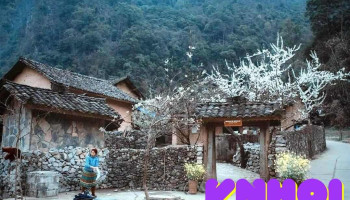 Ha Giang Donkey Backpackers Hostel & Loop Tours - Hà Giang