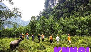 Hang Chà Lòi - Lệ Thủy