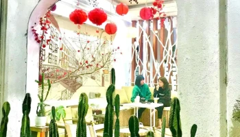 Hoa Thanh Trà - Phố Nối