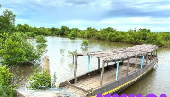 Homestay Cồn Bà Tư - Bến Tre