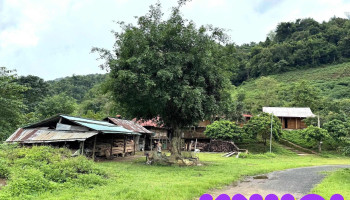 Homestay Pờ Dần Xinh - Tả Kố Khừ