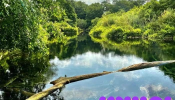 Hố Da (Cao nguyên Địa chất Đắk Nông) - Krông Nô