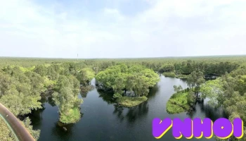 Hồ Hoa Mai Vườn Quốc Gia U Minh Thượng - Kiên Giang