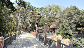Hồ Sen A Di Đà - Tóc Tiên