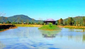 Hồ Thích Là Câu - Vĩnh Thịnh